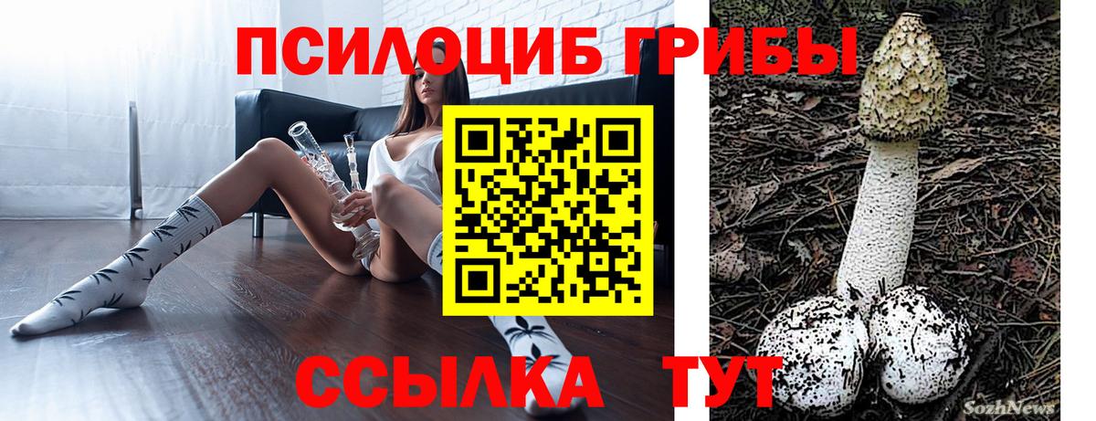Псилоцибиновые грибы Psilocybe Сызрань